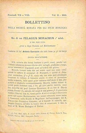 Su di un Pelagius monachus adulto e del suo feto presi a Capo Teulada nel Mediterraneo