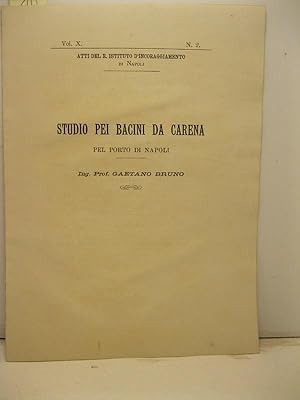 Studio pei bacini da carena pel porto di Napoli