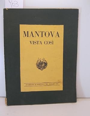 Mantova vista cosi' da Amadei, Carli, Cavicchini, Chiericati