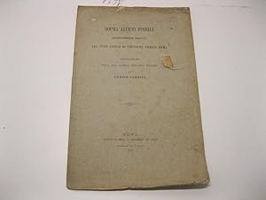 Sopra alcuni fossili recentementi trovati nel tufo grigio di peperino presso Roma. Comunicazione ...