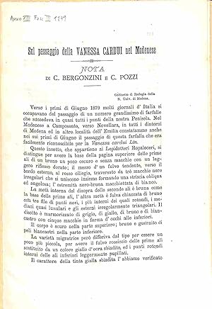 Sul passaggio della Vanessa cardui nel MOdenese