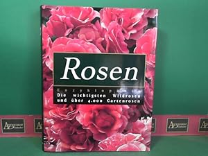 Bild des Verkufers fr Rosen Enzyklopdie - Die wichtigsten Wildrosen und ber 4000 Gartenrosen. zum Verkauf von Antiquariat Deinbacher