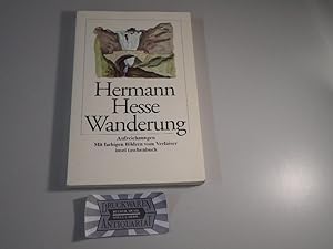 Imagen del vendedor de Wanderung. Aufzeichnungen. Insel-Taschenbuch ; 2354. a la venta por Druckwaren Antiquariat
