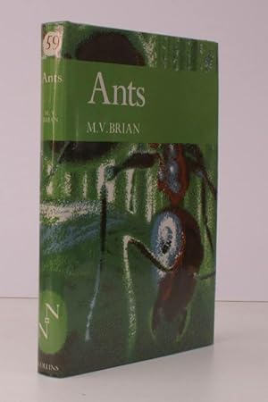Seller image for New Naturalist 59. Ants. NEAR FINE COPY IN UNCLIPPED DUSTWRAPPER for sale by Island Books