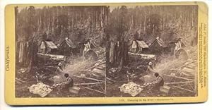 Seller image for Camping on Big River.- Mendocino Co. California, No. 1101 for sale by Ken Sanders Rare Books, ABAA