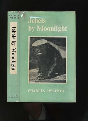 Jebels By Moonlight