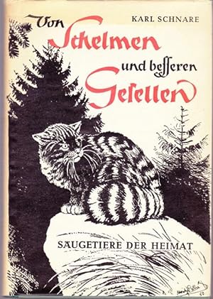 Seller image for Von Schelmen und besseren Gesellen. Sugtiere der Heimat. for sale by Ant. Abrechnungs- und Forstservice ISHGW