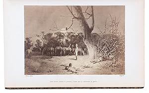 Australie un voyage a travers le bush. Geneva, Jules-Guillaume Fick, 1868. 8. Illustrated with 20...