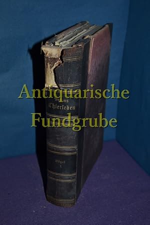 Bild des Verkufers fr Brehms Thierleben. Allgemeine Kunde des Thierreichs / Band 1: Die Vgel, zweite Abtheilung zum Verkauf von Antiquarische Fundgrube e.U.