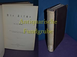 Bild des Verkufers fr Brehms Thierleben. Allgemeine Kunde des Thierreichs / Band 2: Kriechtiere, Lurche und Fische, dritte Abtheilung zum Verkauf von Antiquarische Fundgrube e.U.