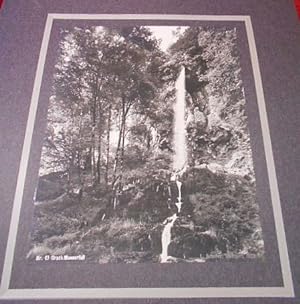 Seller image for Original-Photographie "Urach-Wasserfall" for sale by Antiquariat Clement