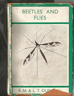 Beetles and Flies.Wonders of Insect Life Series