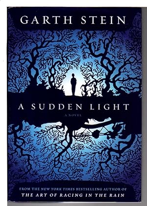 Seller image for A SUDDEN LIGHT. for sale by Bookfever, IOBA  (Volk & Iiams)