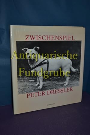 Image du vendeur pour Zwischenspiel. Mit e. Vorw. von Otto Breicha mis en vente par Antiquarische Fundgrube e.U.