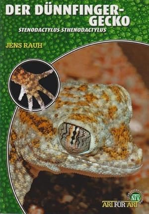 Seller image for Der Dnnfingergecko : Stenodactylus stenodactylus for sale by AHA-BUCH GmbH