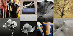Seller image for YASUHIRO ISHIMOTO: IRO TO KATACHI/COLOR AND FORM: PHOTOGRAPHS - Rare Pristine Copy of The First Hardcover Edition/First Printing: Signed by Yasuhiro Ishimoto - SIGNED ON THE TITLE PAGE for sale by ModernRare