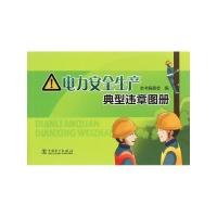 Image du vendeur pour Typical power production safety violations Atlas(Chinese Edition) mis en vente par liu xing