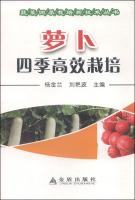 Immagine del venditore per Seasons efficient cultivation radish(Chinese Edition) venduto da liu xing