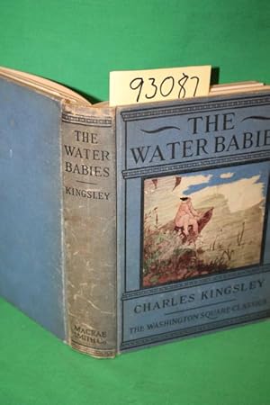 Seller image for The Water Babies for sale by Princeton Antiques Bookshop