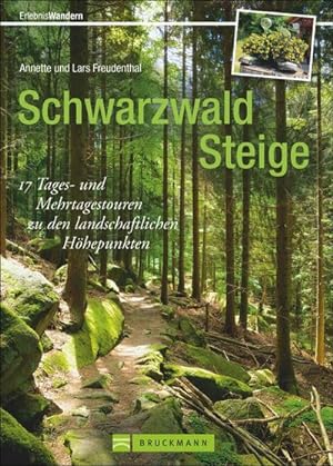 Schwarzwald Steige : 17 Tages- und Mehrtagestouren zu den landschaftlichen Höhepunkten