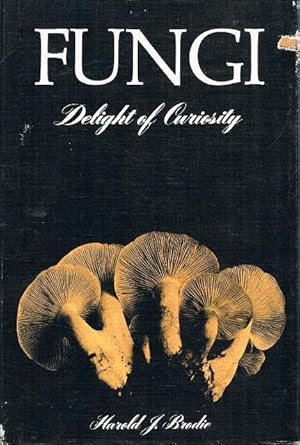 Fungi. Delight of Curiosity.