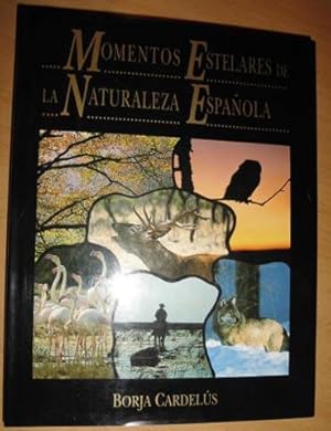 Imagen del vendedor de MOMENTOS ESTELARES DE LA NATURALEZA ESPAOLA -Multitud de fotos en color a la venta por CALLE 59  Libros