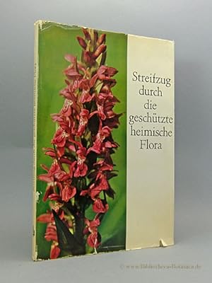 Bild des Verkufers fr Streifzug durch die geschtzte heimische Flora zum Verkauf von Bibliotheca Botanica