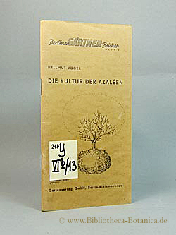Image du vendeur pour Die Kultur der Azalen. Rhododndron simsii Planch. mis en vente par Bibliotheca Botanica