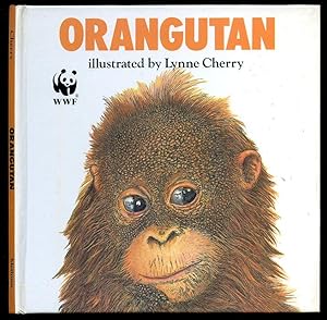 Seller image for Orangutan for sale by Little Stour Books PBFA Member