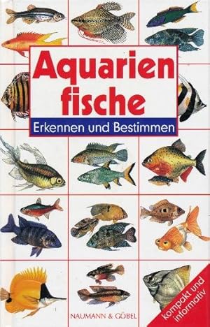 Bild des Verkufers fr Aquarienfische. Erkennen und Bestimmen. zum Verkauf von Tills Bcherwege (U. Saile-Haedicke)