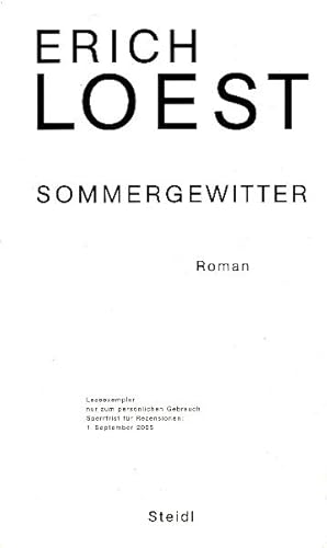 Seller image for Sommergewitter. Roman. for sale by Tills Bcherwege (U. Saile-Haedicke)