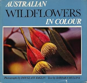 Bild des Verkufers fr Australian Wildflowers in Colour. zum Verkauf von Tills Bcherwege (U. Saile-Haedicke)