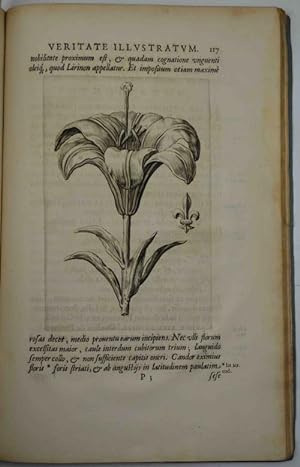 Lilium francicum, veritate historica, botanica, et heraldica illustratum.