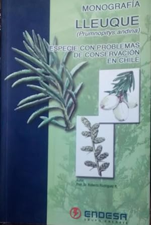 Monografía : Lleuque ( Prumnopitys andina ). Especie con problemas de conservación en Chile