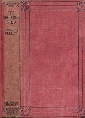 Imagen del vendedor de The Brooding Wild a la venta por Barter Books Ltd