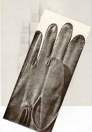 Imagen del vendedor de Flux Stationary: Hand in Glove a la venta por M + R Fricke