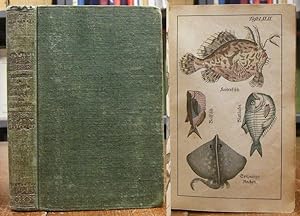 Malerische Naturgeschichte des Thierreiches. Tafelband (einzeln), enthält 144 handkolorierte lith...