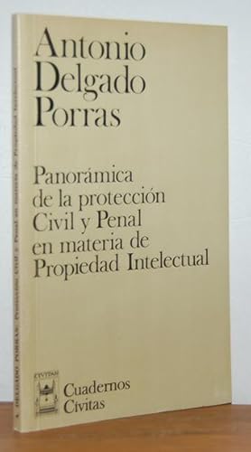 Bild des Verkufers fr PANORMICA DE LA PROTECCIN CIVIL Y PENAL EN MATERIA DE PROPIEDAD INTELECTUAL zum Verkauf von EL RINCN ESCRITO