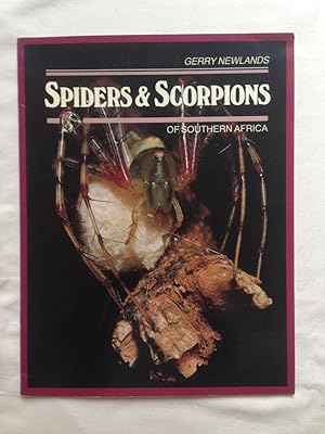 Seller image for SPIDERS AND SCORPIONS OF SOUTHERN AFRICA for sale by Book Realm