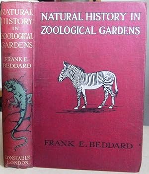 Natural History in Zoological Gardens, being some account ov vertebrated animals, with special re...