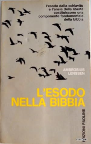 L'ESODO NELLA BIBBIA