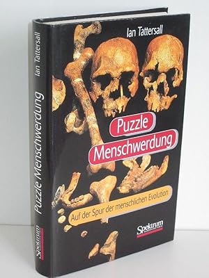 Puzzle Menschwerdung Auf der Spur der menschlichen Evolution