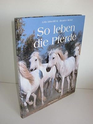 So leben die Pferde