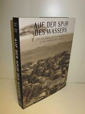 Auf der Spur des Wassers Die faszinierende Tierwanderung in der afrikanischen Steppe