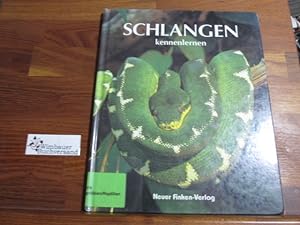 Seller image for Schlangen kennenlernen. Hans Grtner for sale by Antiquariat im Kaiserviertel | Wimbauer Buchversand