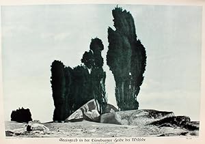 "Steingrab in der Lüneburger Heide bei Wilsede" originale Rotations-Lithographie (Mehrfarbentiefd...