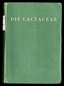 Die Cactaceae.