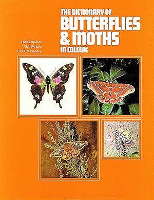 Bild des Verkufers fr The Dictionary Of Butterflies And Moths In Colour : zum Verkauf von Sapphire Books