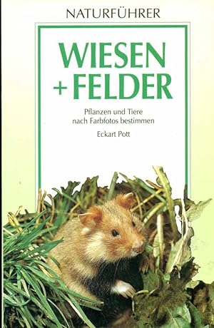 Immagine del venditore per Wiesen + Felder. Pflanzen und Tiere nach Farbfotos bestimmen. venduto da Online-Buchversand  Die Eule