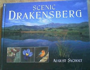 Scenic Drakensberg